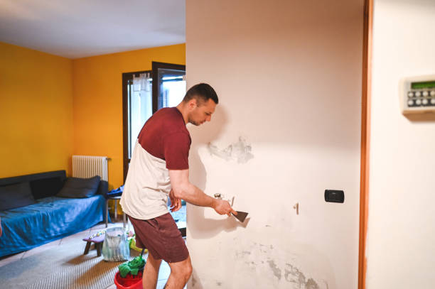Best Localized Mold Remediation (e.g., coastal areas, humid climates) in Lake Junaluska, NC